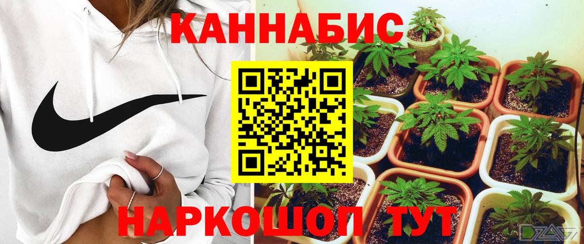 Бошки Шишки Amnesia  Бошки Шишки White Widow  Вход с VPN  МАРИХУАНА ГИДРОПОН  МАРИХУАНА AK-47  Вологда 